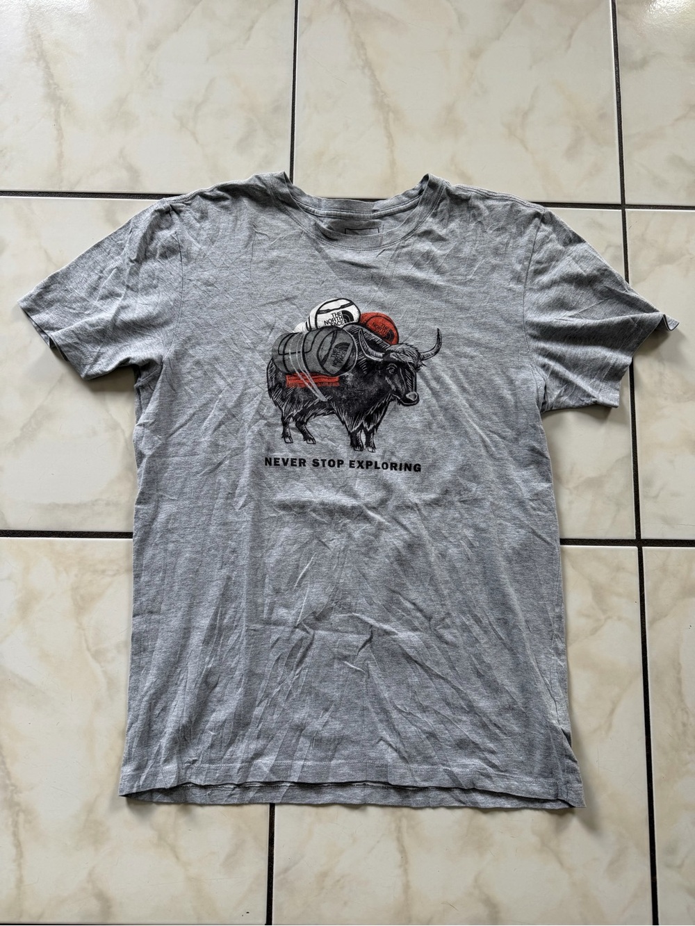 The North Face Grey Tee with Buffalo Graphic and Red Accents